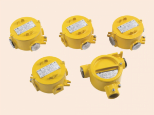 BHD51 Explosion proof Junction Boxes