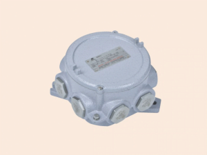 BHD91 Explosion proof Junction Boxes