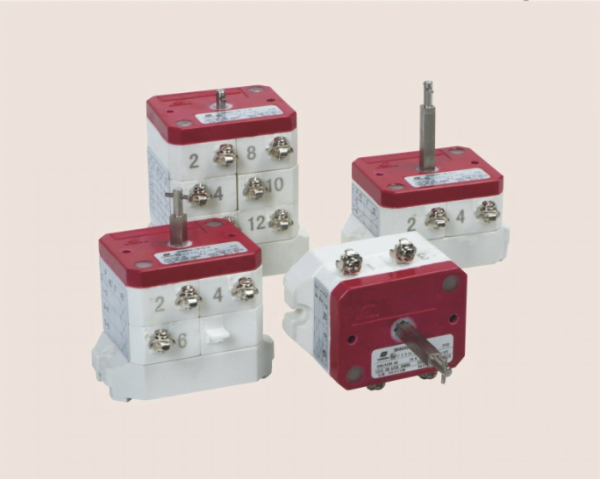 BK8050 Explosion proof Control Switches