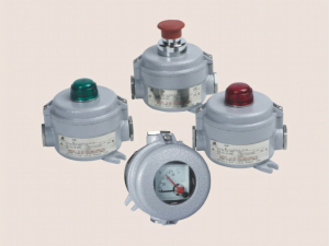 Explosion proof Control Unit Systems