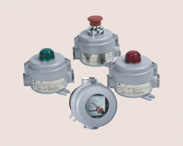 Explosion proof Control Unit Systems