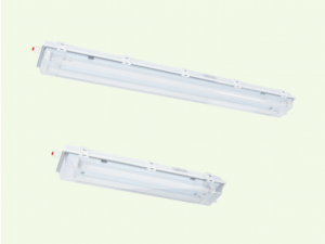 BnY81 Explosion proof Linear Lighting