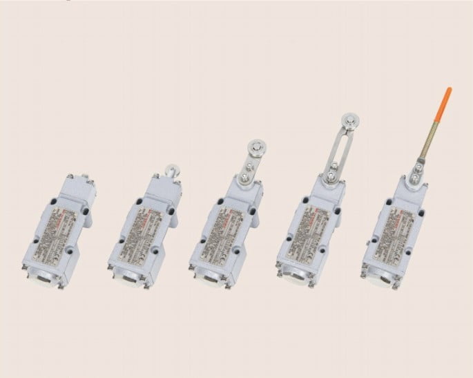 Explosion proof Position Switches
